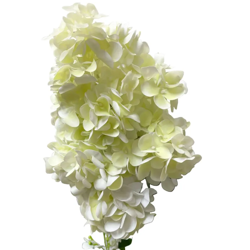 30" Cone Hydrangea | White / Green