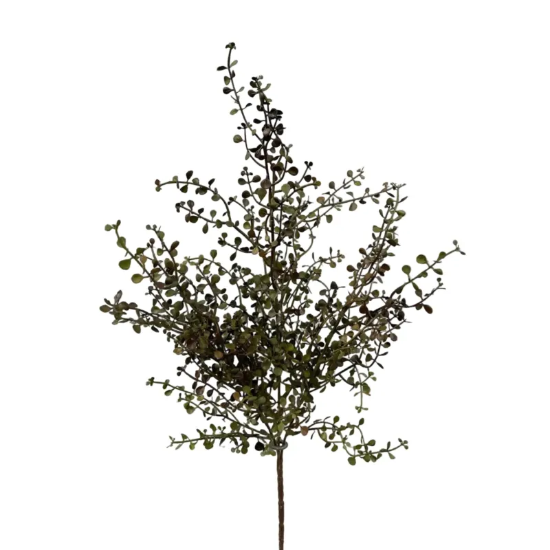 20" Green Baby Tears Bush | Burgundy