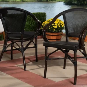 Baxton Studio Artus Classic French Indoor and Outdoor Black Bamboo Style Stackable Bistro Dining Chair Set of 2 | Modishstore | Dining Chairs