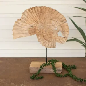 Teak Nautilus Shell On A Stand By Kalalou | Stands | Modishstore - 1