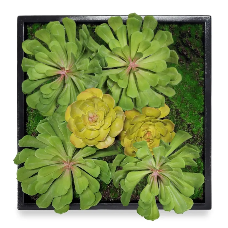Green Wall, Mini Pulidonis & Echeveria By Gold Leaf | Wall Art | Modishstore - 1