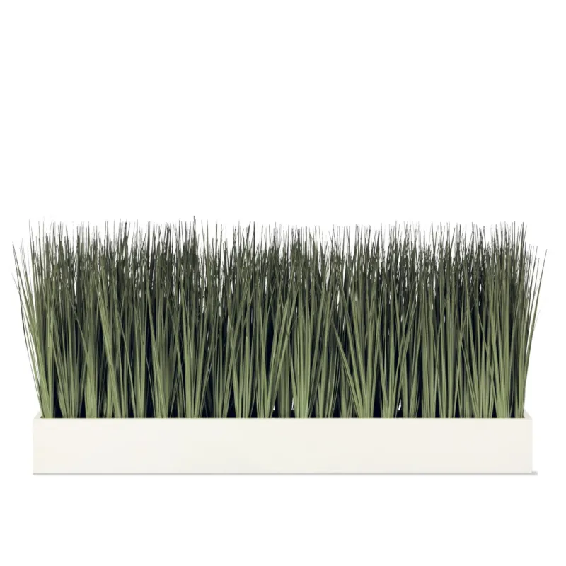 Grass: Cortada Grass in White Table Planter (additional freight required) By Gold Leaf | Planters, Troughs & Cachepots | Modishstore - 1