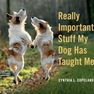 Really Important Stuff My Dog Has Taught Me — Hachette Book Group